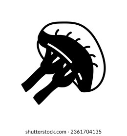 Spleen icon in vector. Illustration