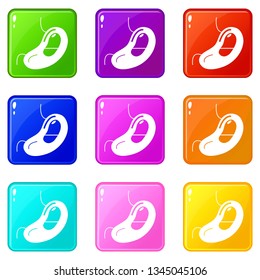 Spleen icons set 9 color collection isolated on white for any design