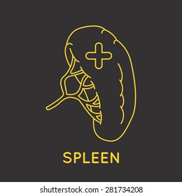 spleen medical logo vector