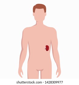 enlarged spleen in kids