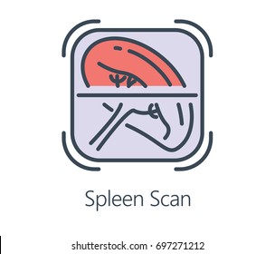 Spleen scan Icon in flat line style. Symbol about health check up and medical concept.