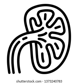 Spleen in section icon. Outline spleen in section vector icon for web design isolated on white background