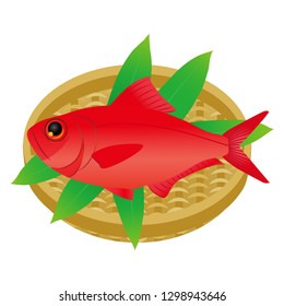 A splendid alfonsino