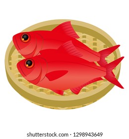 A splendid alfonsino