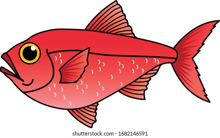 136 Splendid Alfonsino Images, Stock Photos & Vectors | Shutterstock