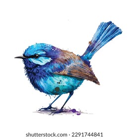 Splendid Fairy Wren bird watercolor paint, Colorful Birds Vector white background.