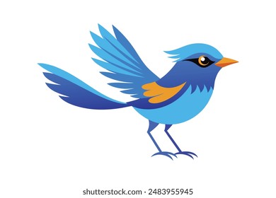 
Splendid fairywren bird image vector illustration