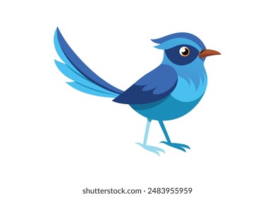 
Splendid fairywren bird image vector illustration