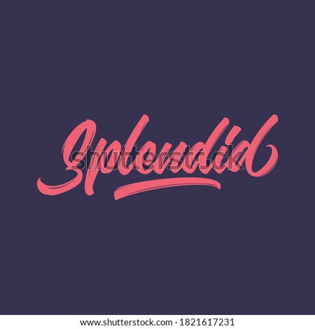 Splendid lettering vector illustration with modern brush texture for t-shirt, prints, poster, etc.