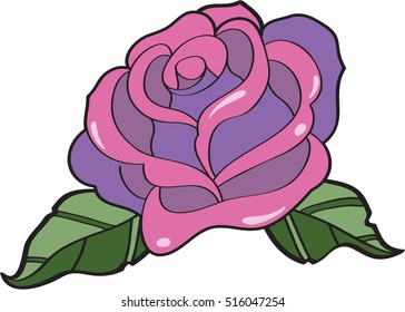 Splendid rose isolated on white