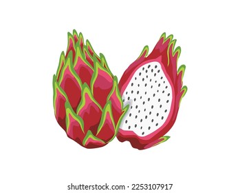 split dragon fruit  pitaya fruit illustrations  Summer tropical fruits for healthy lifestyle  Red dragon fruit  whole fruit   half  Vector illustration cartoon flat icon isolated white 