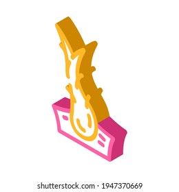 vector de icono isométrico del cabello de extremos divididos. señal de pelo de extremos fraccionados. ilustración de símbolo aislado