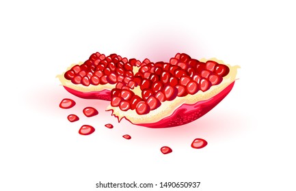 Split fresh pomegranate with red ripe gem-like seeds. Puniceous sweet fruit using for juice, smoothie, wine, meal garnishes, cocktails, alcoholic beverages. Vector cartoon illustration on white.