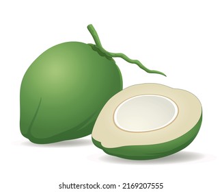 Split Green Coconut - vector illustration isolated on white background