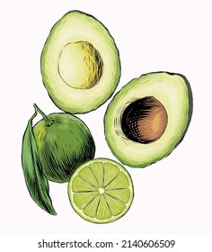 Dividir en medio aguacate y lime ilustración vectorial.