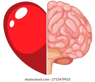 Corazón y cerebro divididos que simbolizan el equilibrio entre la emoción y la lógica, estilo de Vector plano