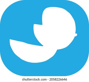 split melon fruit simple vector design