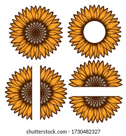 Split sunflower for design, half flower