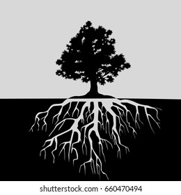 Split view of oak tree and its roots. Black and white illustration