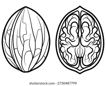 Split walnut icon, showing the whole shell and the detailed kernel inside