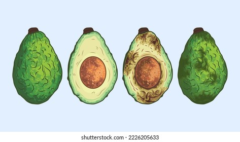 Spoiled avocado. Half of a whole avocado with the pit is rotting. Fruit spoilage process. Waste recycling. Overripe inedible fruit. Rules for storage and processing in the store and at home.