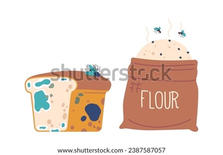 Spoiled Food Set, Mold-covered Bread And Rancid Flour with Flying Insects around Isolated On White Background