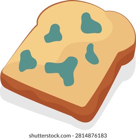 Spoiled Moldy Bread Loaf slice.