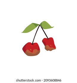 Spoiled rotten cherry berries with spots, flat cartoon vector illustration isolated on white background. Spoiled food, risk and danger of infectious disease.