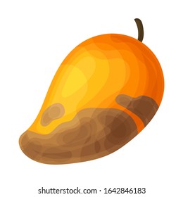 Spoiled and Rotten Mango Fruit with Skin Covered with Stinky Rot Vector Illustration