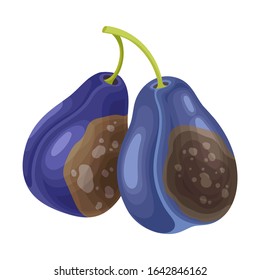 Spoiled and Rotten Plums with Berries Covered with Stinky Rot Vector Illustration