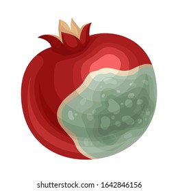 Spoiled and Rotten Pomegranate Fruit with Skin Covered with Stinky Rot Vector Illustration