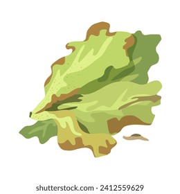 Spoiled salad leaves. Rotten food product, organic food waste cartoon vector illustration