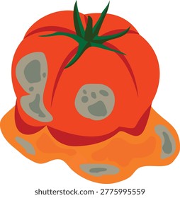 spoiled tomato, moldy tomato vector.