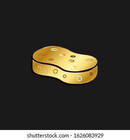 Sponge gold icon. Vector illustration of golden