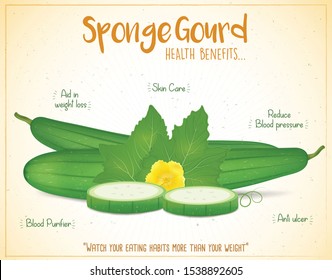 Sponge gourd and sponge guard leaves  with yellow flower vector illustration with creative background