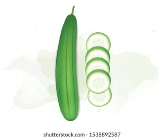 Sponge gourd and sponge gourd  pieces vector illustration from top angle 