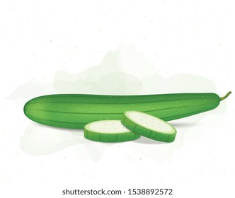 Sponge gourd vector illustration with Sponge gourd pieces on white background