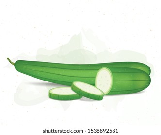 Sponge gourd vector illustration with sponge gourd pieces on white background