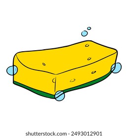 sponge illustration hand drawn isolated vector