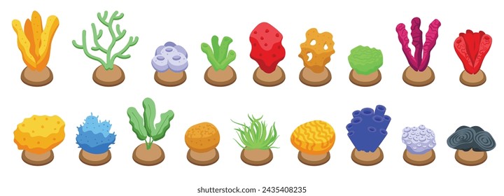 Sponge seaweed plant icons set isometric vector. Underwater weed. Deep reef flora