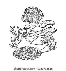 Sponges Anemones Coralls On Sandstone Coloring Stock Vector (Royalty ...