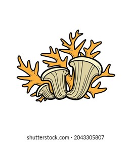 Sponges and corals object  color variation for coloring page isolated on white background