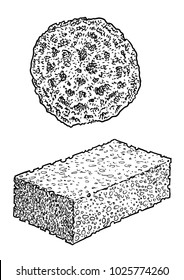 Sponges illustration, drawing, engraving, ink, line art, vector