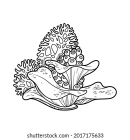 Sponges and large corals coloring book linear drawing isolated on white background