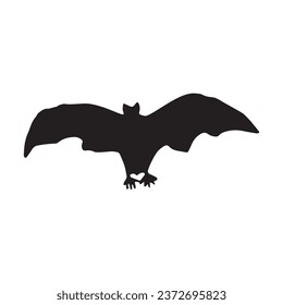 Spooky bat on white background