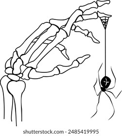 Spooky Black and White Skeleton Hand with Spider Illustration for Halloween Decor on a White Background. Creepy Gothic Black Widow Hand Drawn Illustration for Scary Art