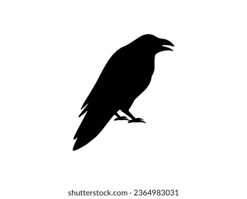 Spooky Crow Halloween Black and White