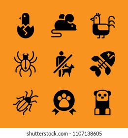 spooky, entry, poultry and brown icon set. Vector illustration for web and design.