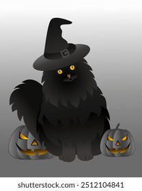 Spooky Fluffy Witch Cat with Halloween Pumpkins, perfect for Halloween-themed designs, greeting cards, social media posts, or digital decorations. 