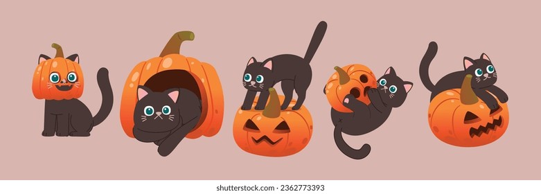 Spooky Fun: Adorable Black Cat in with Pumpkin, jack-o'-lantern, Halloween Autumn Festive, Vector, Illustration